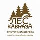 ИП Буракова Виктория Викторовна, мастерская "Лес Кавказа"
